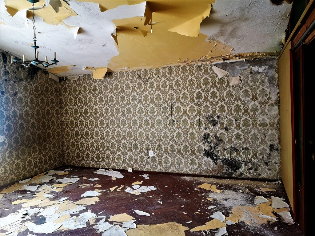 Una habitación de Perlora con la pintura desgastada, moho en las paredes y el techo cayendo.