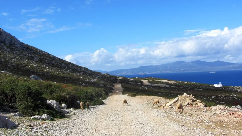 Foto del camino de Costa de Dalia a Tanger, Marruecos, desde un viaje efectuado en 2015. Creative Commons atribución 4.0 internacional
