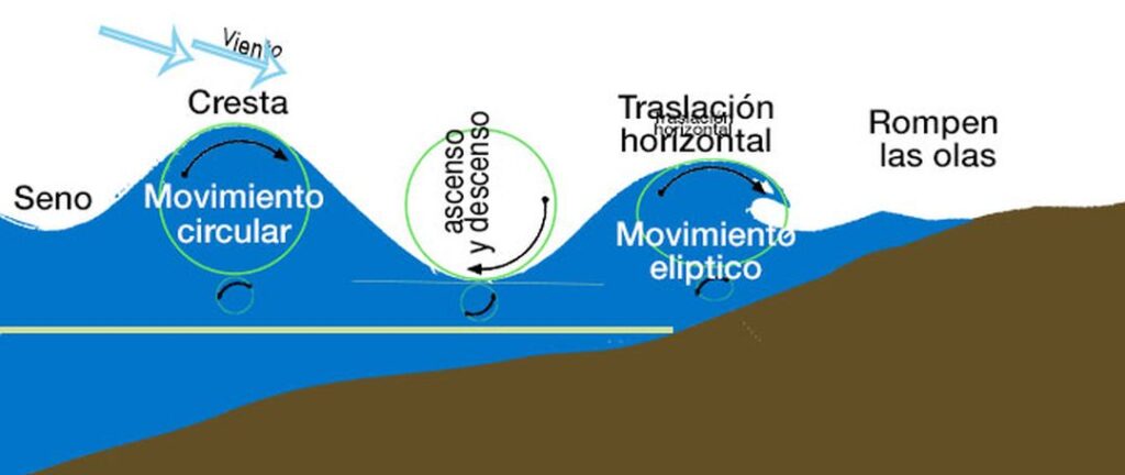 dibujo del movimiento ondulatorio de las olas. Dominio Público.