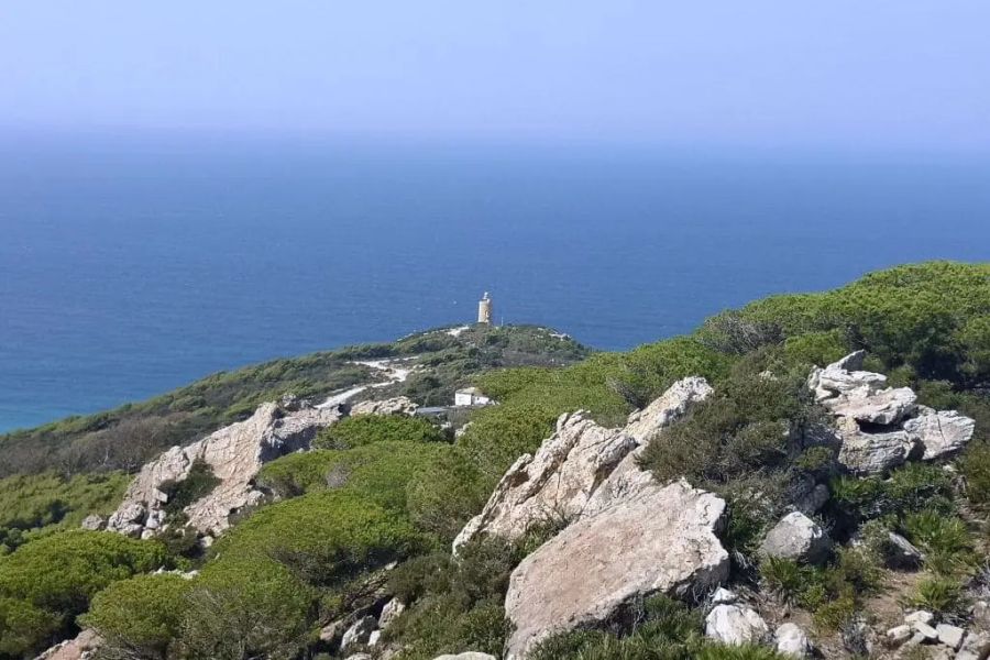 Vista del Faro de Camarinal desde la SIerra de la Plata