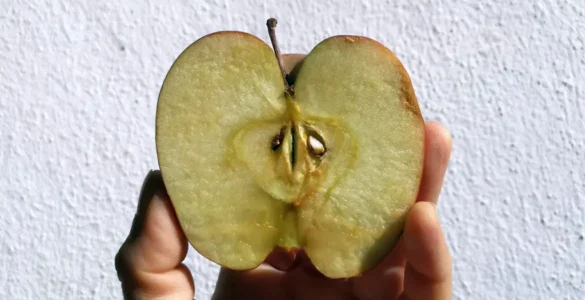 mano sujetando una media manzana sobre fondo blanco