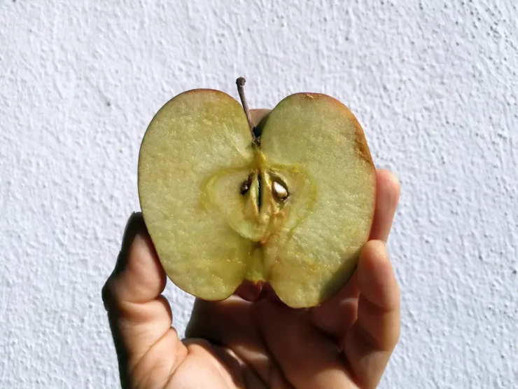 mano sujetando una media manzana sobre fondo blanco