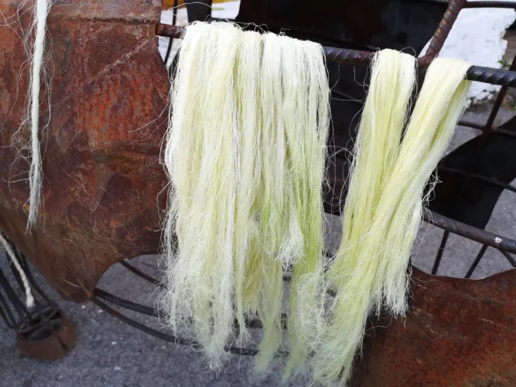Mechas de fibra bruta de agave apoyada sobre un tendedor de hierro