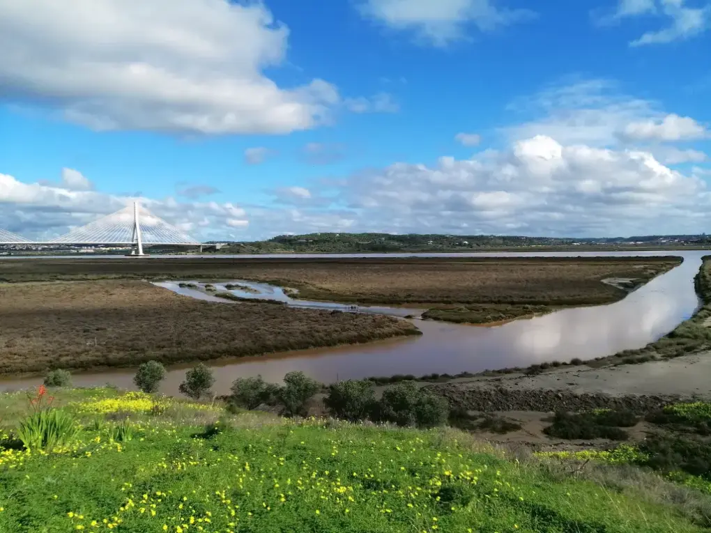 Paisaje rayano, el guadiana visto desde las salinas de Castro Marím