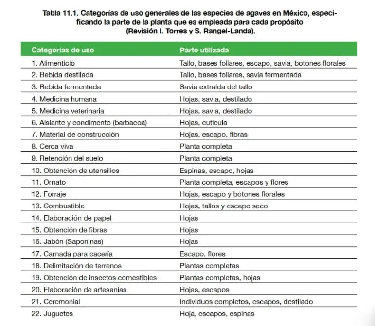 Tabla con los usos del Agave y la parte de la planta utilizada referida a México