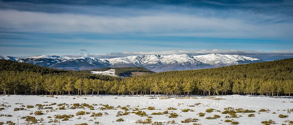 Panorámica de la Sierra de Guadarrama con las primeras nevadas, primer plano del bosque con el suelo nevado y montañas con nieve.