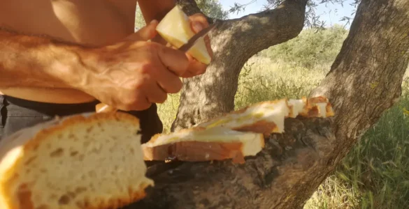 Un hombre cortando queso sobre una rama de olivo en Móstoles