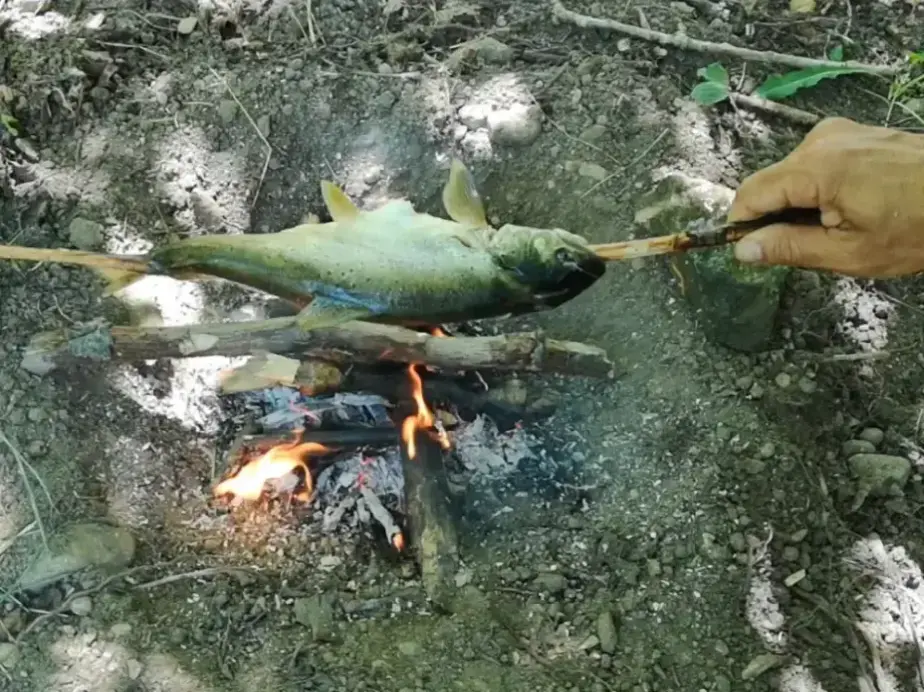 Primer plano de una trucha asada en una pequeña hoguera con un pincho de madera