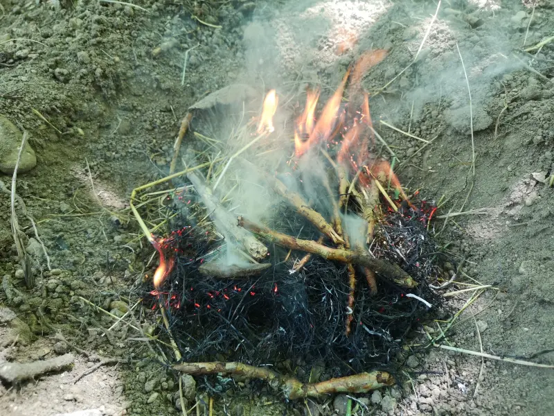 Primer plano de un nido encendido quemando la primera capa de combustible de una hoguera