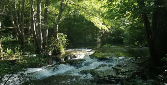 Ribera del rio Rúdon. En su orilla derecha se entreve un típico megaforbio de ribera