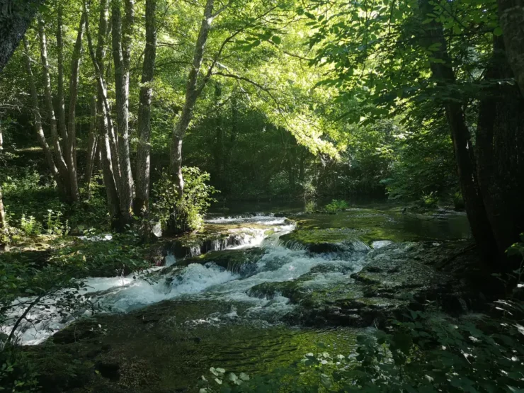 Ribera del rio Rúdon. En su orilla derecha se entreve un típico megaforbio de ribera
