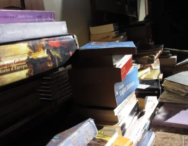 Unas pilas de libros tiradas en el suelo, durante los preparativos de un viaje