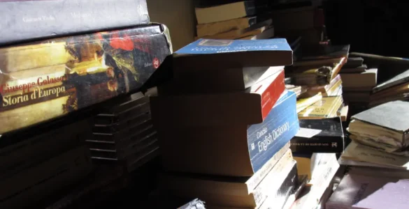 Unas pilas de libros tiradas en el suelo, durante los preparativos de un viaje