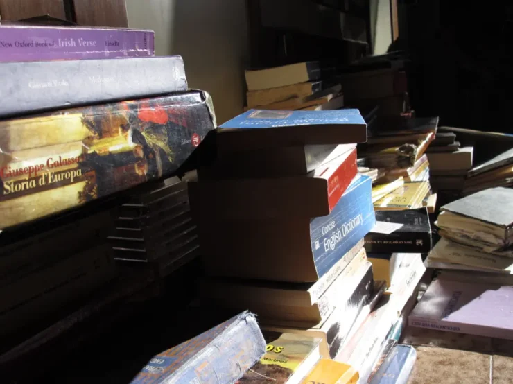 Unas pilas de libros tiradas en el suelo, durante los preparativos de un viaje