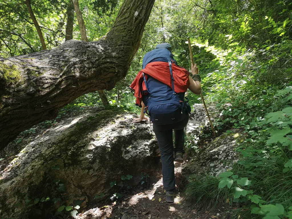 Mochilera por un camino. A la derecha se ve un megaforbio típico de ambiente perturbado.