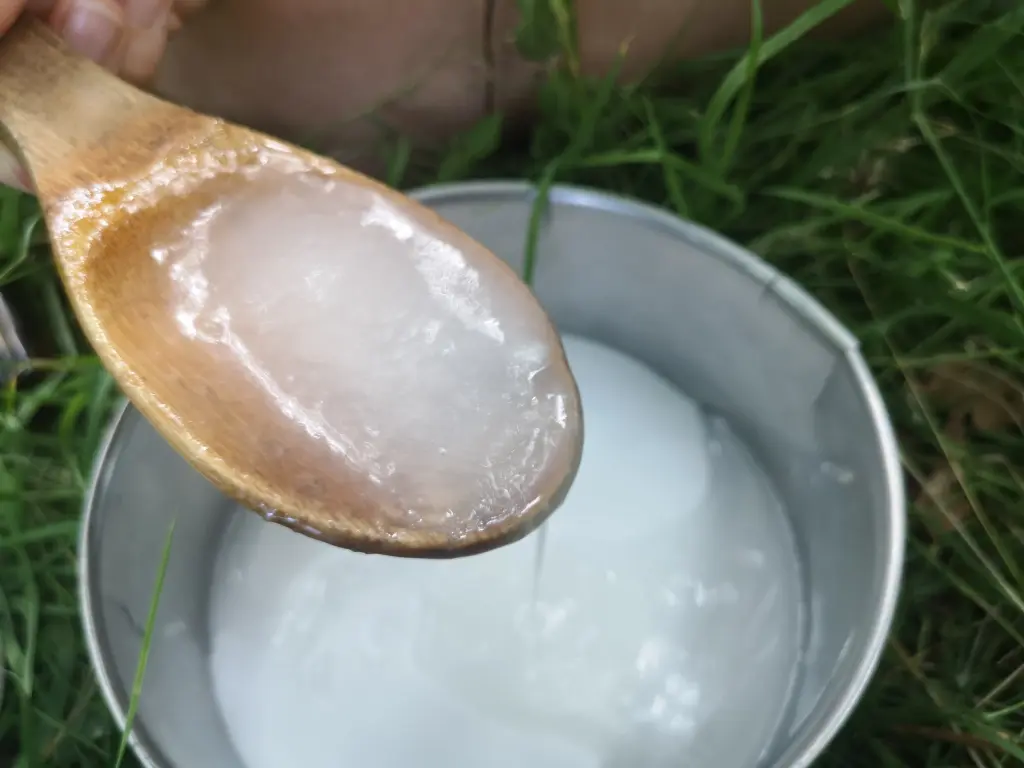 desodorante natural casero a base de bicarbonato, aceite de coco y árbol del té. en este paso echamos el aceite de coco bien derretido
