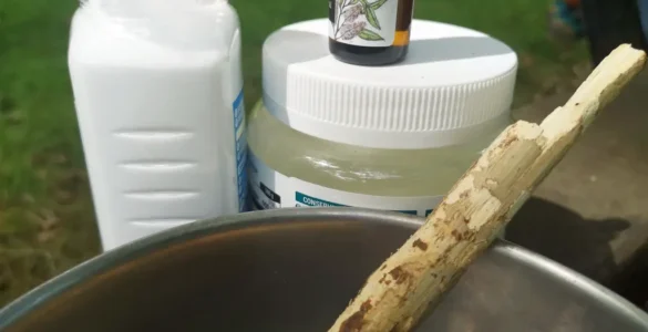 desodorante natural casero a base de bicarbonato, aceite de coco y árbol del té. Muy efectivo contra el mal olor y cuida bien de la piel.