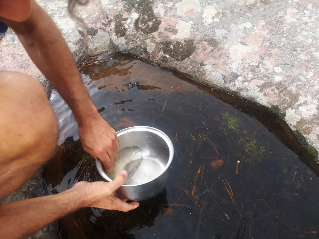 Primer plano de unas manos lavando una olla en el agua de lluvia retenida en un hueco de una piedra