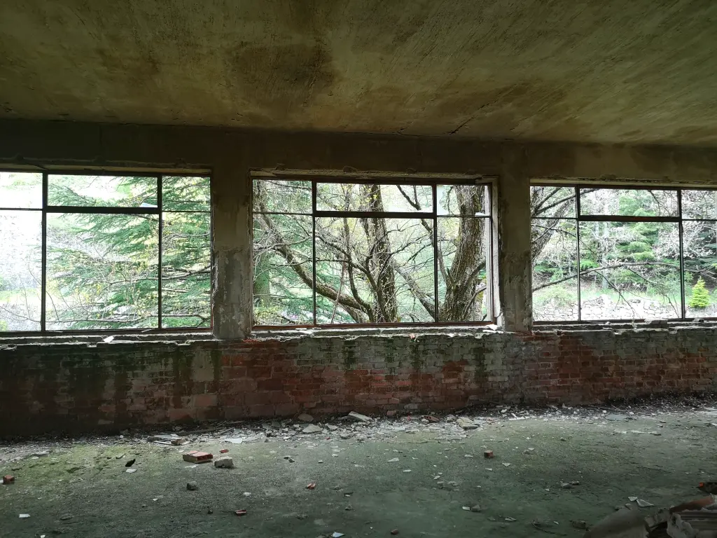 Sanatorio abandonado de Tablada, interior: tres ventanales rotos asomándose a un bosque