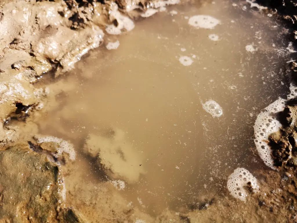 Agujero excavado en el barro una hora después. El agua está más clara