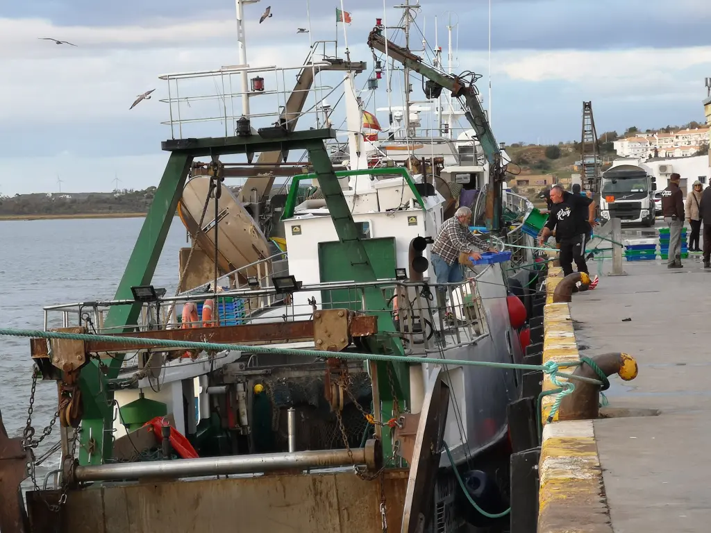 Puerto de Ayamonte, pescadores descargando el pescado tras una jornada de pesca de arrastre.